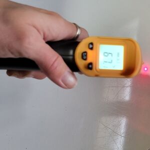5/$15 laser temperature taker